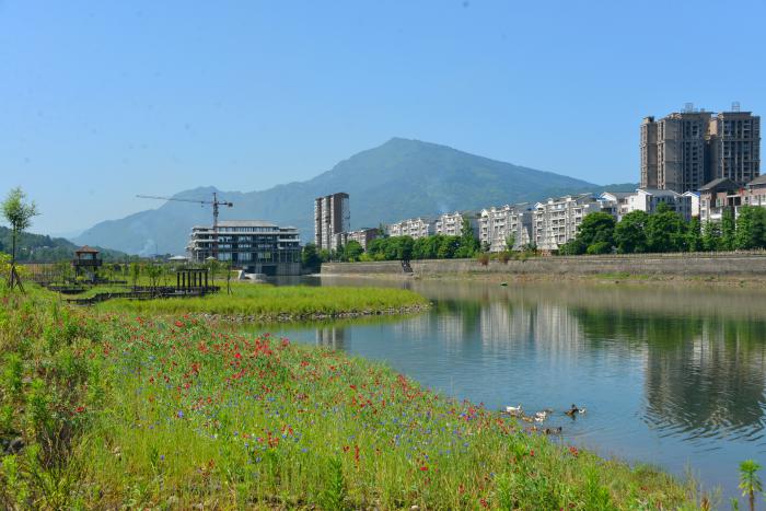 安谷水電站放水閘濕地