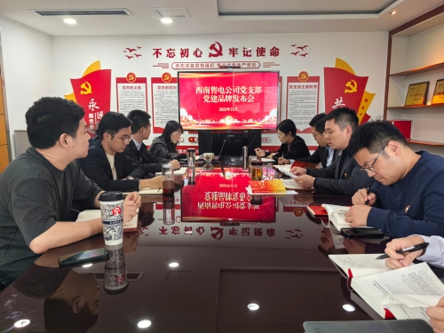 西南售電公司黨建品牌發(fā)布會(huì )